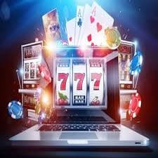 bet557