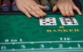 bet557