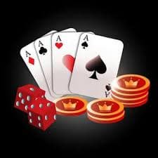 bet557